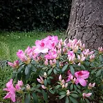 Villino Appio