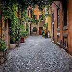 Il Cedro