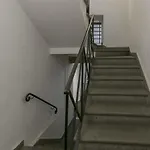 Ig Suites