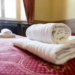 Hotel Palestro Palace