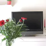 Sasha\'S Crib