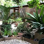 La Casa Di Elena