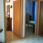 Il Pretoriano