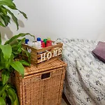 Lizart Garden