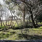 L\'Acquedotto Felice