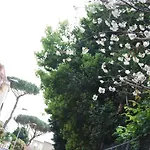 Casalalla