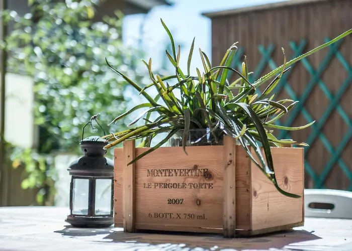 Appartamento Con Giardino Via Silvestri
