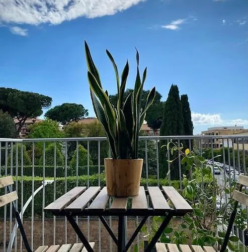 Fiello Flat #1