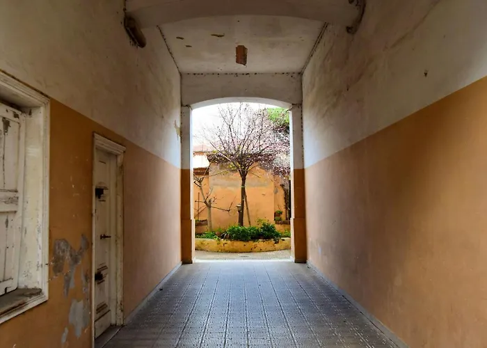 Roma Saba Home