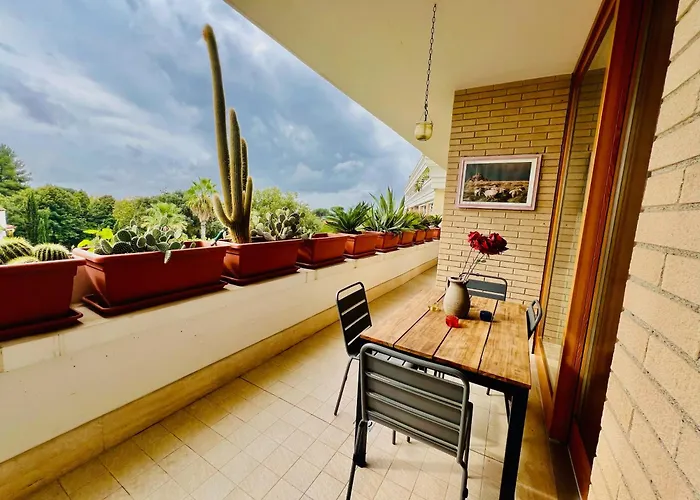Casa David