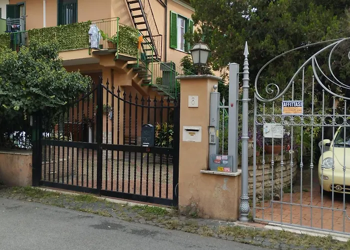 Pettirosso8
