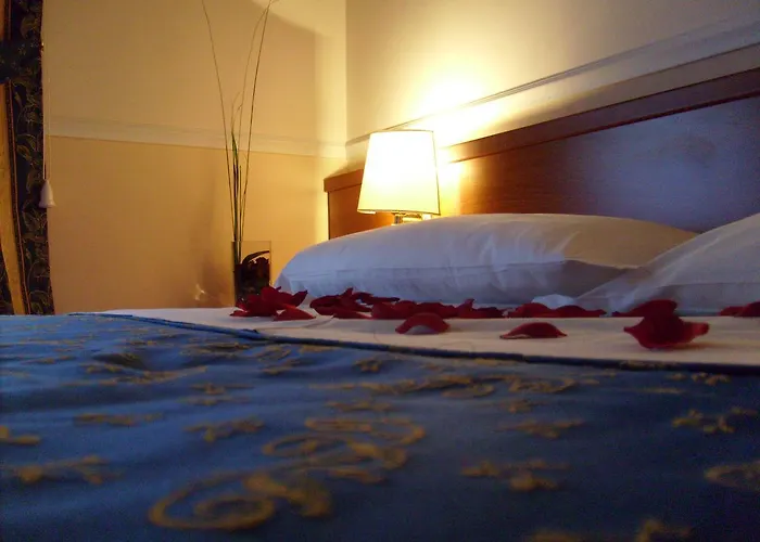 B&B Gerbera Roma