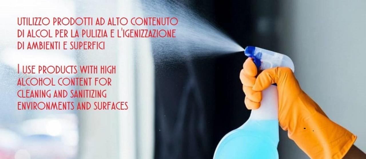 Nel Cuore Di Trastevere Apartment Rome