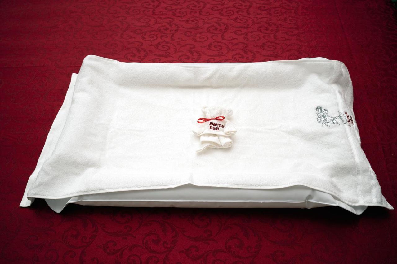 Bed & Breakfast Il Bonsai Rome