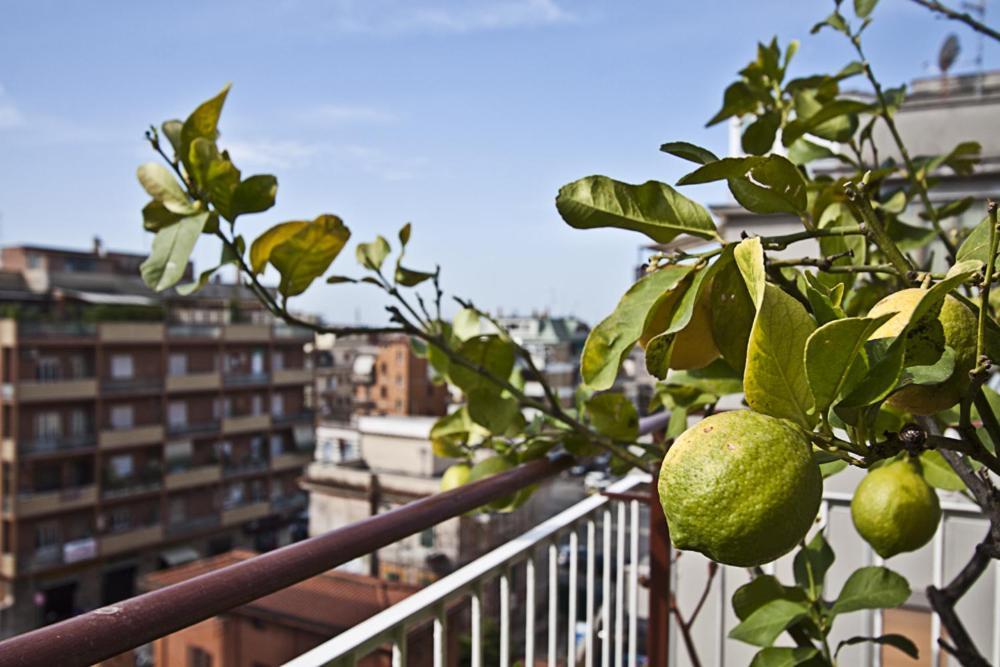 Splendidae Mundi * Rome