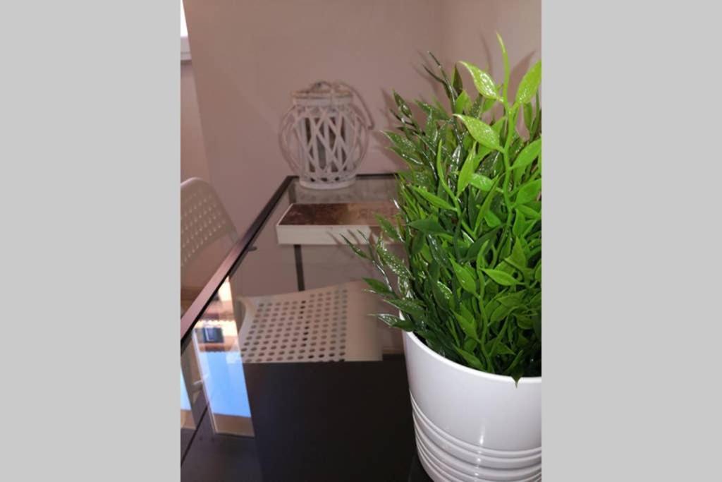 Trastevere House Apartment