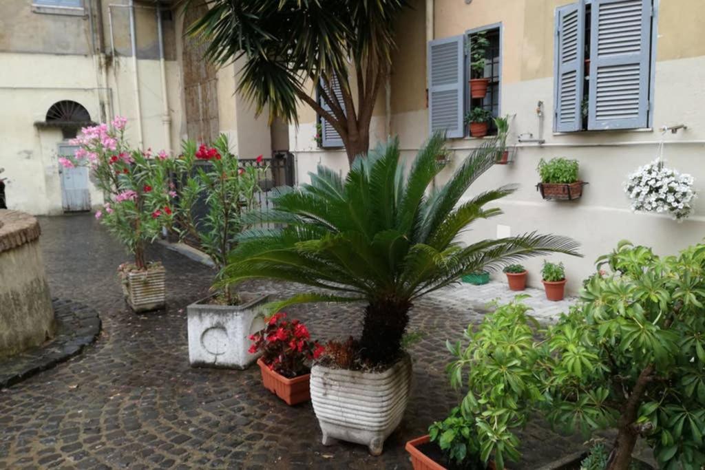 Trastevere House *