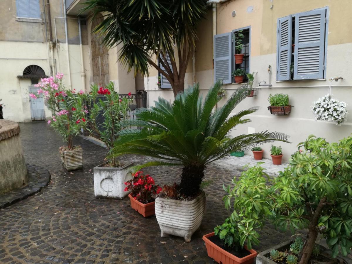 Séjour chez l'habitant Trastevere, What Else...