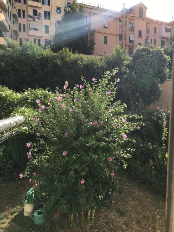 Cris - Close To Vatican - Centre&stadiumarea Appartement Rome