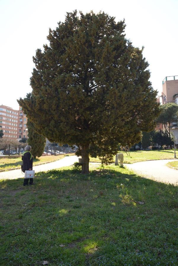 Brezza Marina Rome