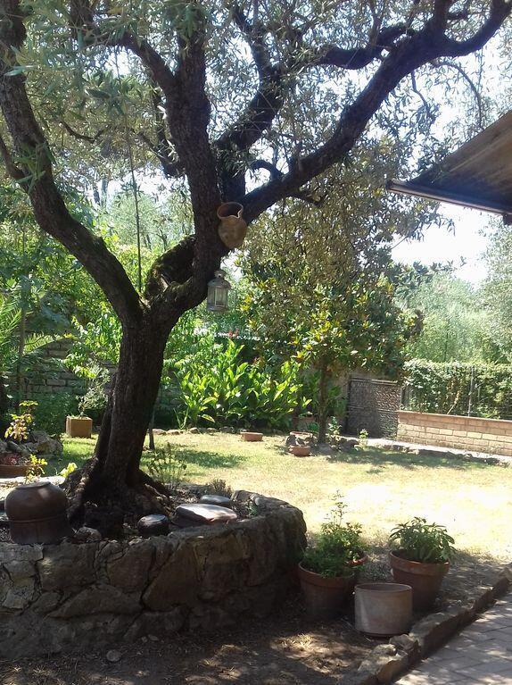 Loft Con Giardino In Zona Appia Antica *
