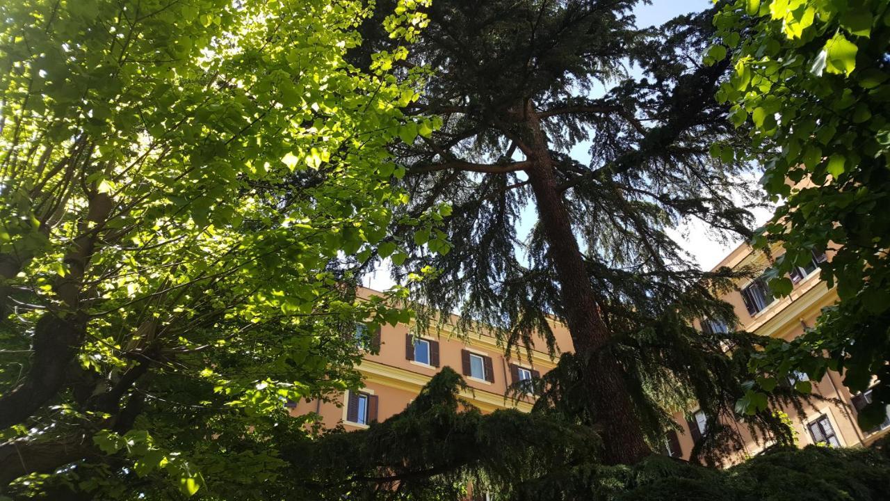 Bed & Breakfast Bed & Breakfast A Casa Di Lia A Roma 2*