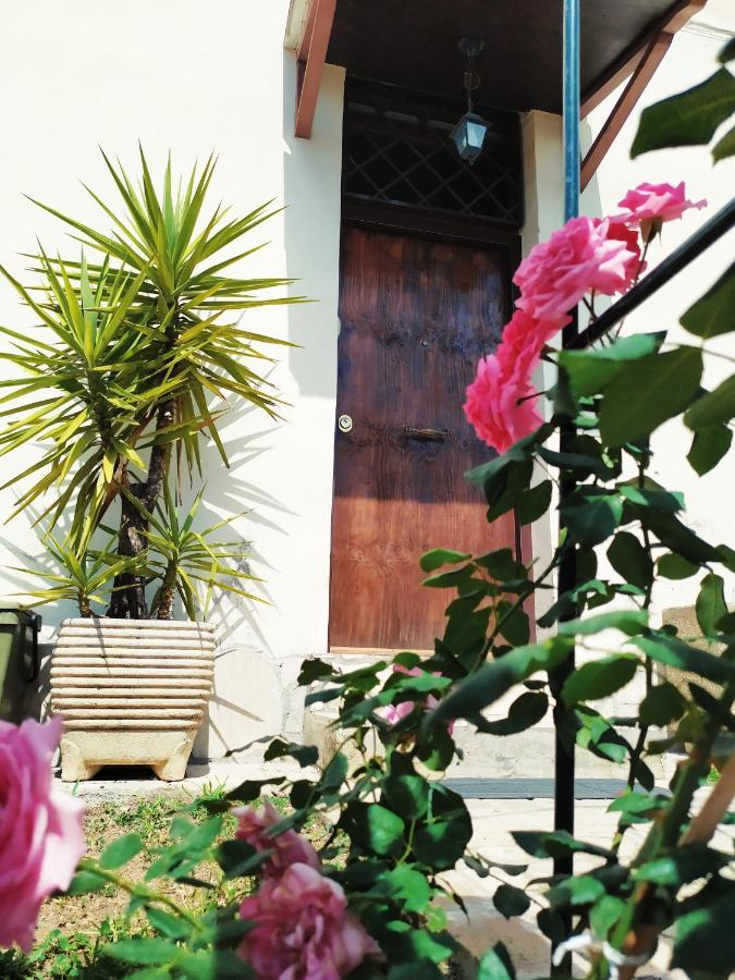Homestay Valletta Fiorita