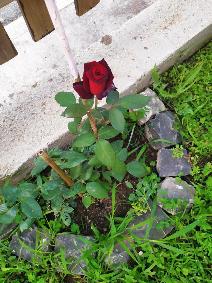 Valletta Fiorita Homestay Rome