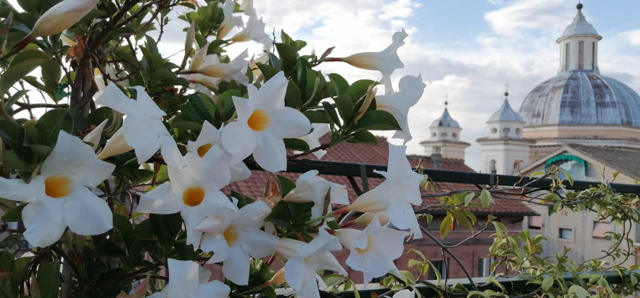 Favolosa Terrazza Nel Centro Di Apartamento *