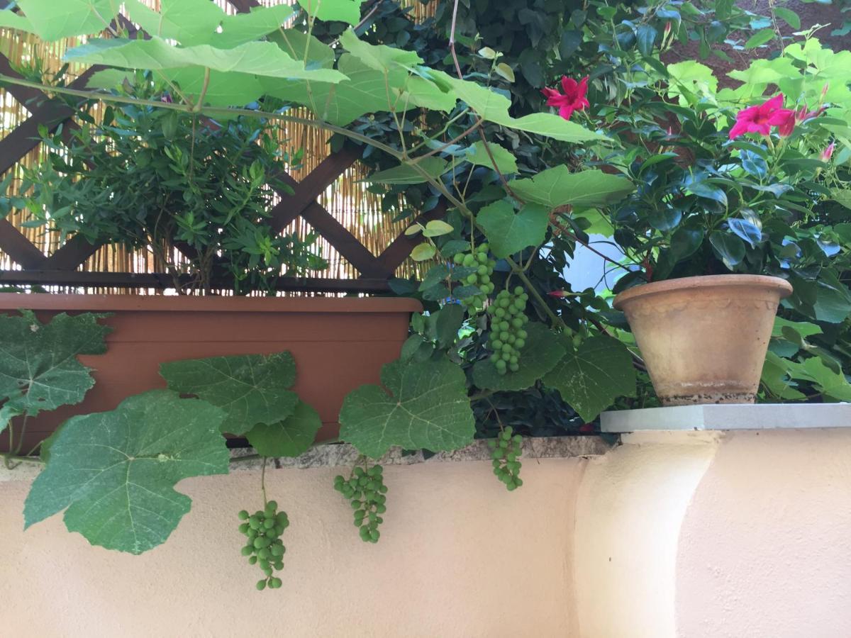 Apartment Testaccio Historic House