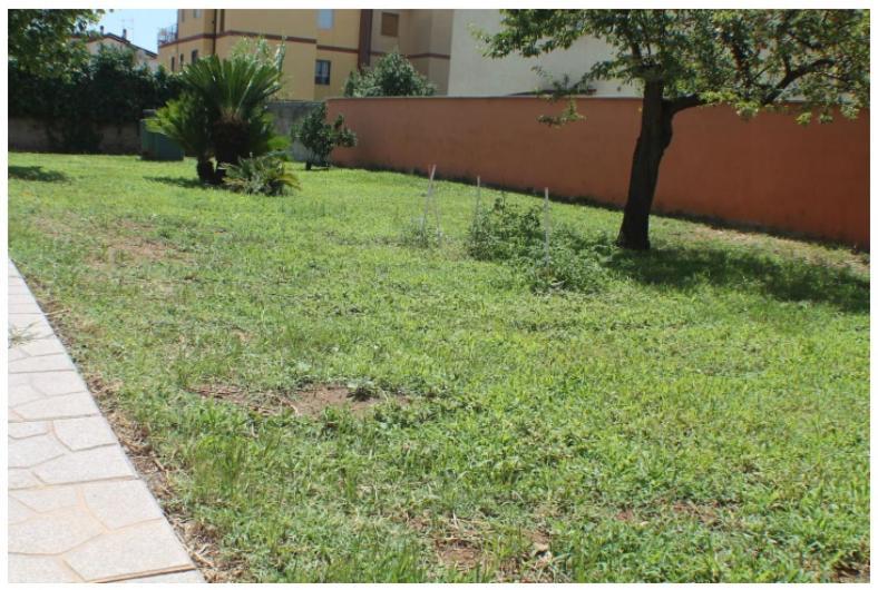Accogliente Tra Mare E Citta Homestay *