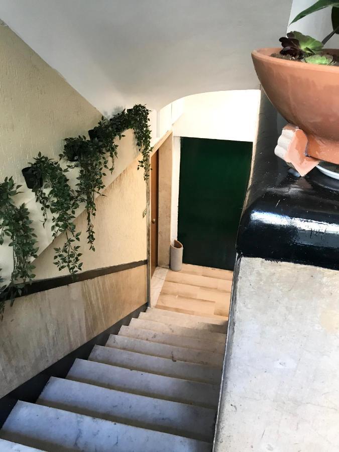 Domus Re Di *