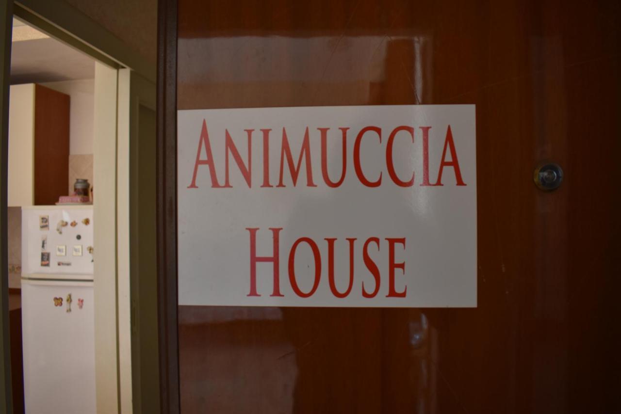 Animuccia House