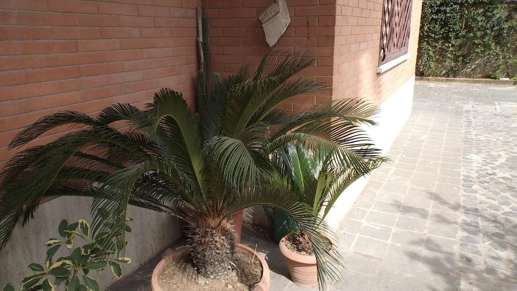 La Casa Di Ro Bed & Breakfast *