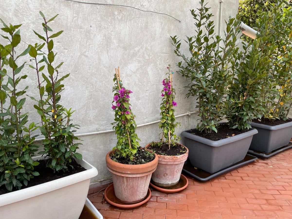 Campo De Fiori Palace Holiday home *