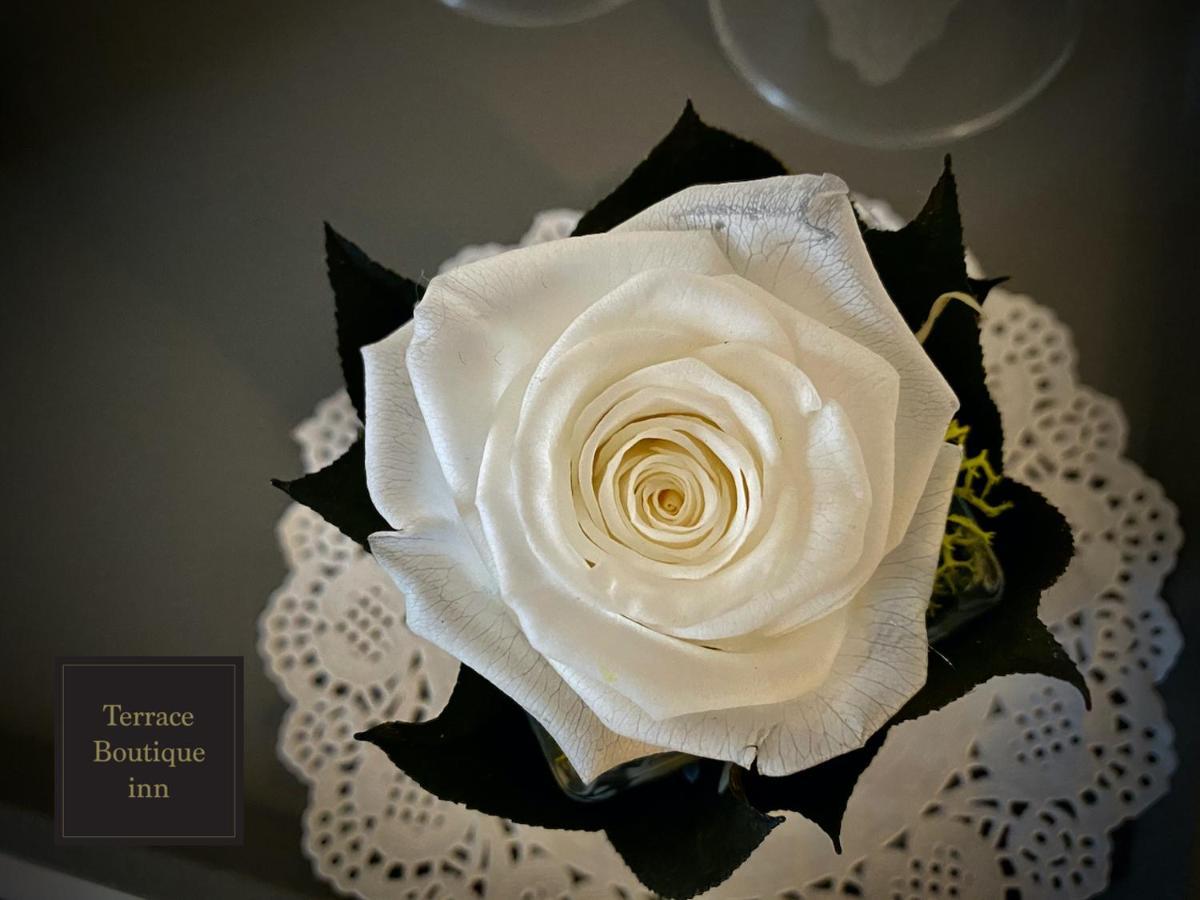 Guest house Terrace Boutique *
