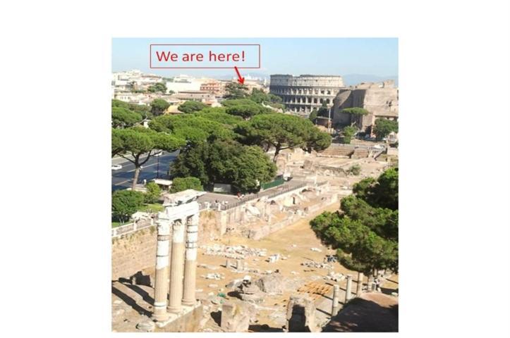 Colosseum Street
