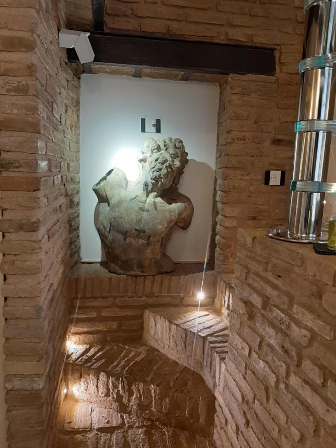 Colosseum Archeoloft In Historic Center Of Appartement