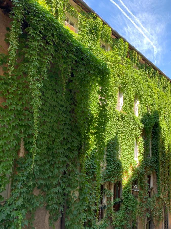 Navona Relais - Center Of Apartment