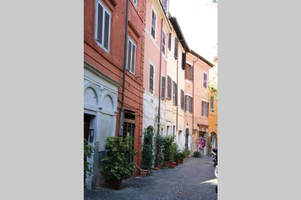 Cedro Appartement Rome
