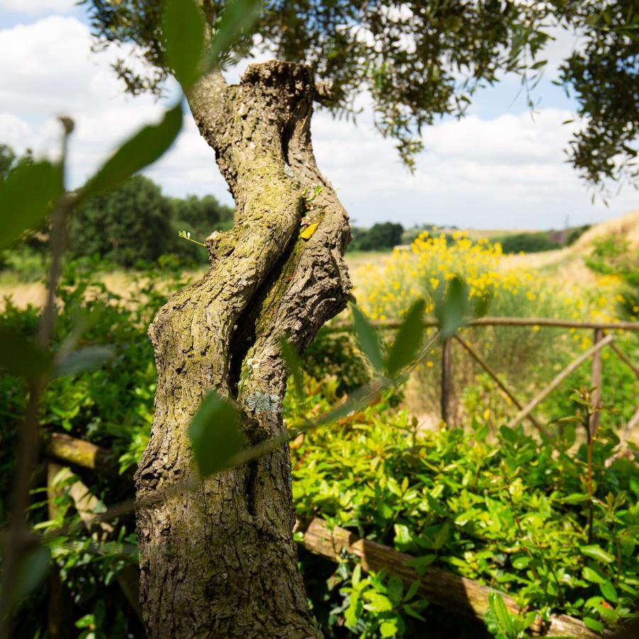 Tenuta Capizucchi Appart hôtel Rome