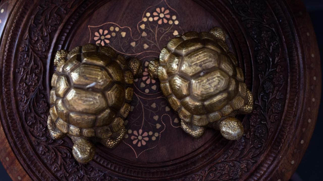 Affittacamere La Casa Delle Tartarughe *