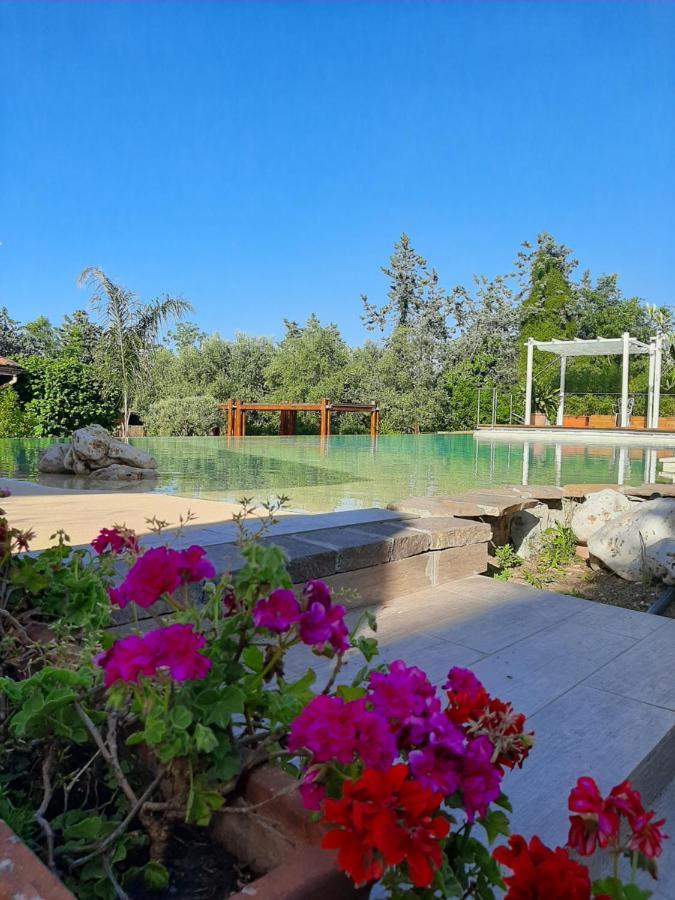 Hotel Antica Locanda Palmieri 3*