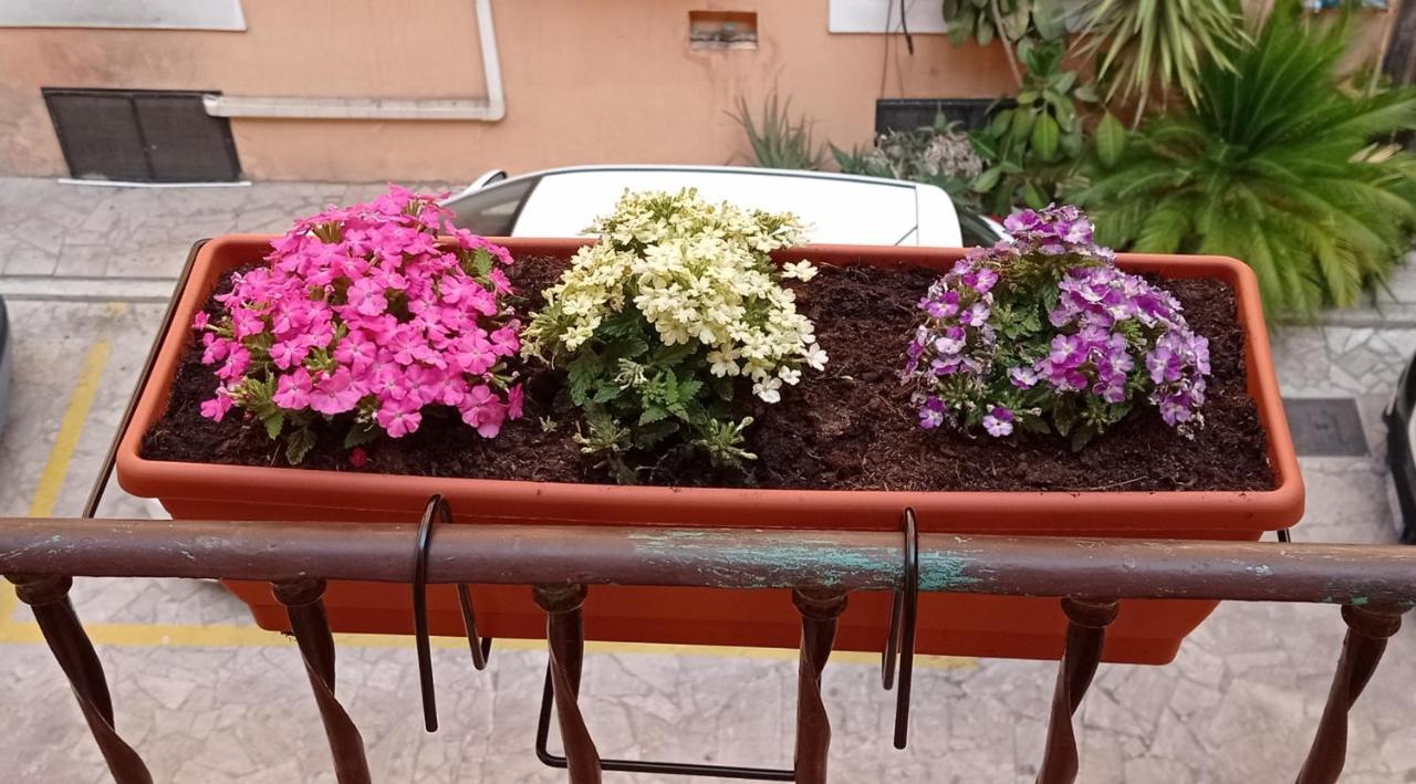 Guest house Capitolina Rome