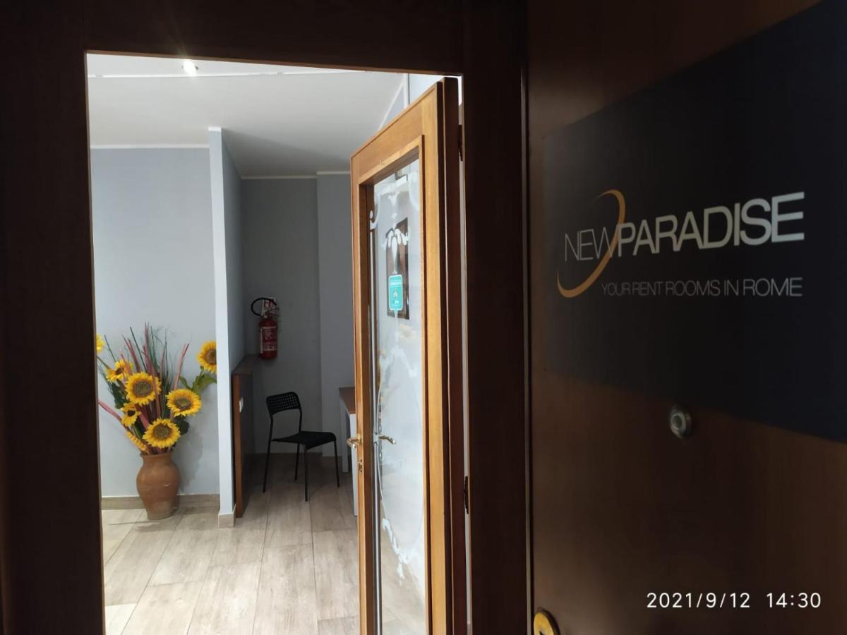 New Paradise