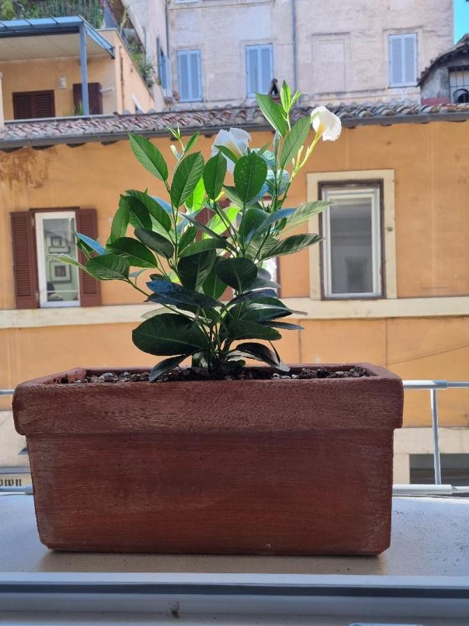 Guest house Corso 107 Wellness & *