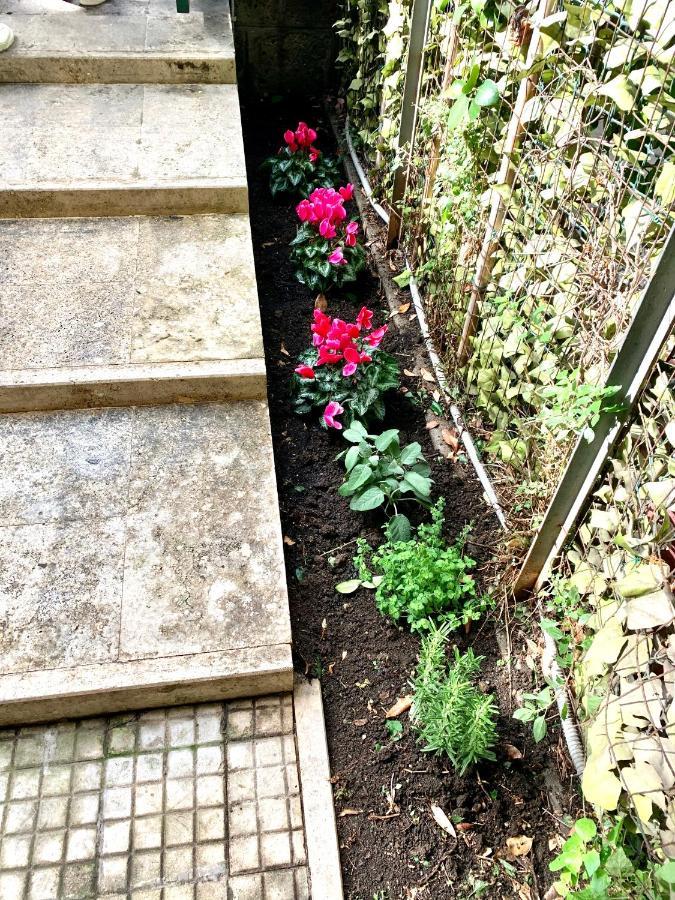 Vatican Garden *