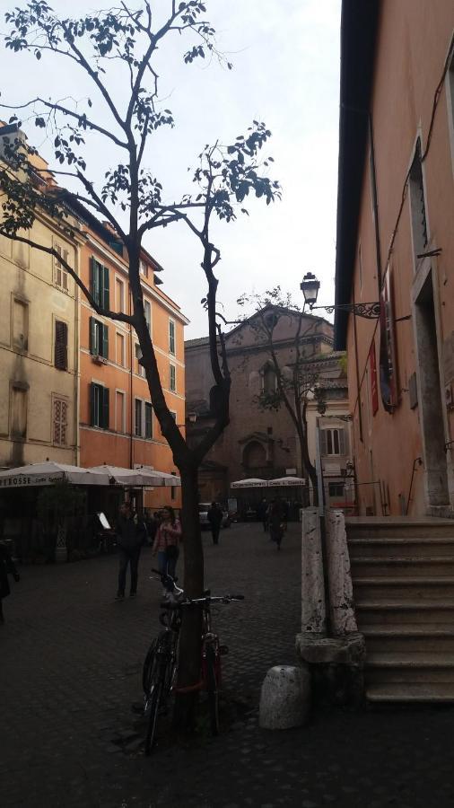 Cozy Studio In Trastevere * Rome