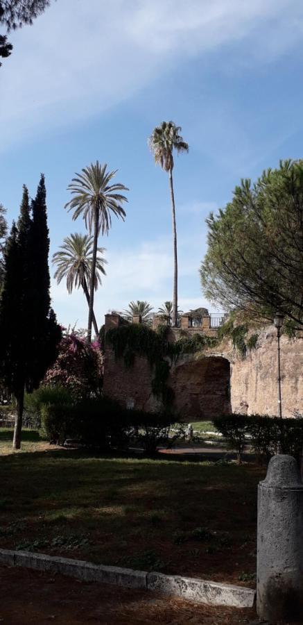 Gioia