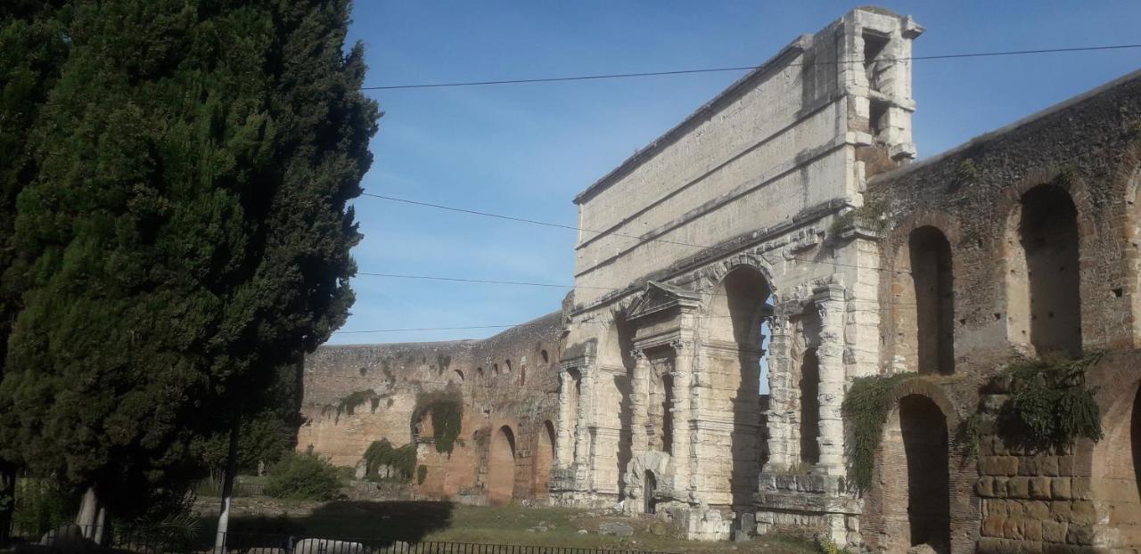 Gioia 2*